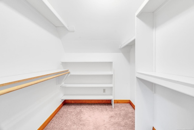 spacious closet with carpet floors