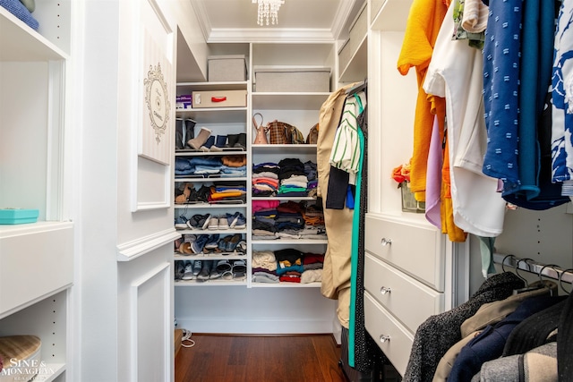 walk in closet featuring wood finished floors