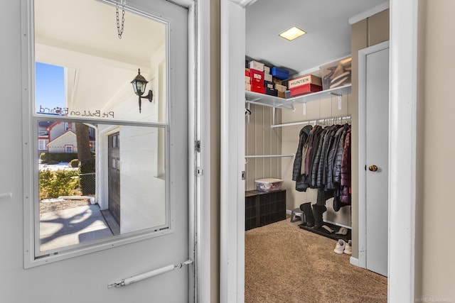 walk in closet featuring carpet