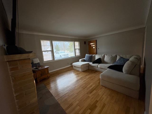 living room with ornamental molding, baseboards, and light wood finished floors