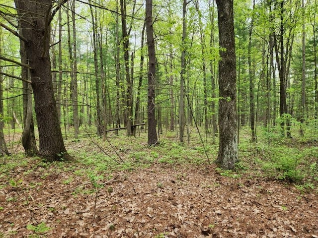 5910 Flock Rd, Beaverton, MI 48612 - view of tree filled area