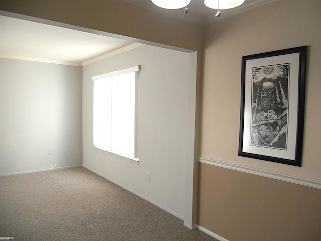 empty room featuring baseboards, carpet, and crown molding