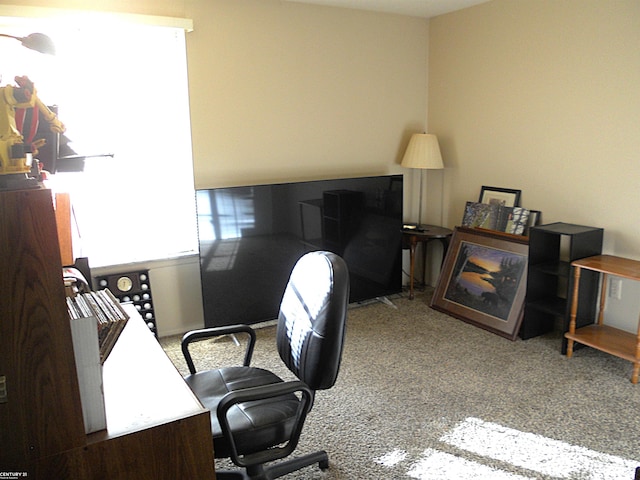 home office featuring carpet flooring