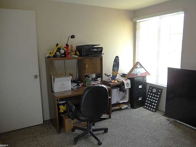 office area featuring plenty of natural light