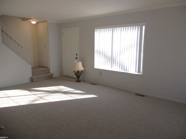 spare room with stairs, carpet flooring, visible vents, and crown molding