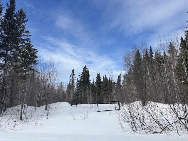 ON Dunham Rd, Marenisco MI, 49947 land for sale