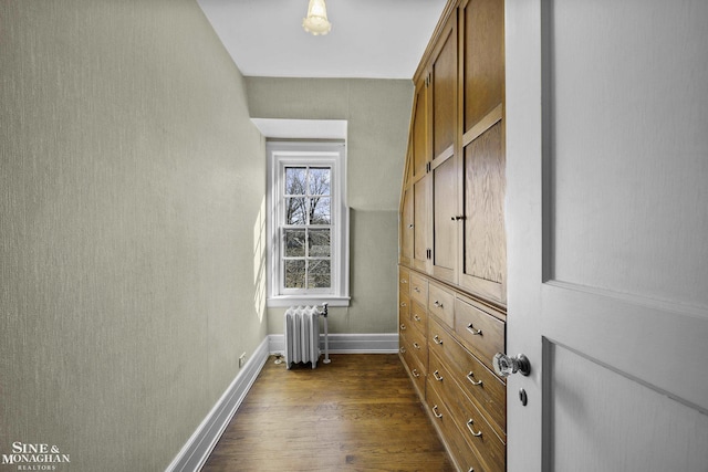 spacious closet featuring dark wood-type flooring and radiator heating unit