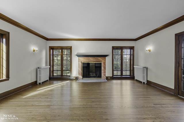 unfurnished living room with radiator, a healthy amount of sunlight, and a high end fireplace