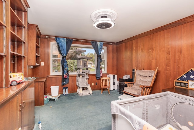 miscellaneous room with carpet and wooden walls