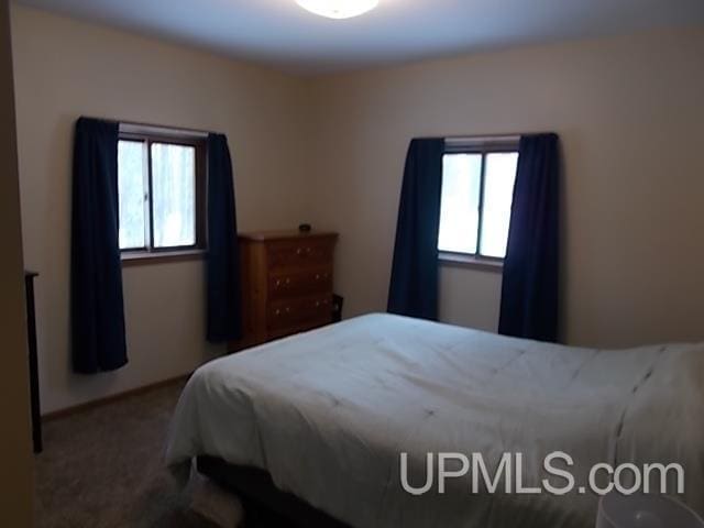 bedroom with carpet flooring