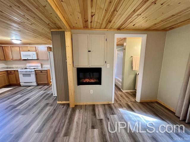 kitchen featuring light countertops, white appliances, wood finished floors, and a glass covered fireplace