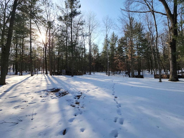 4537 Pine Run Rd, Farwell MI, 48622 land for sale