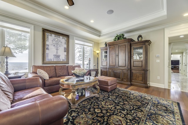 living room featuring baseboards, ornamental molding, a raised ceiling, and dark wood-type flooring