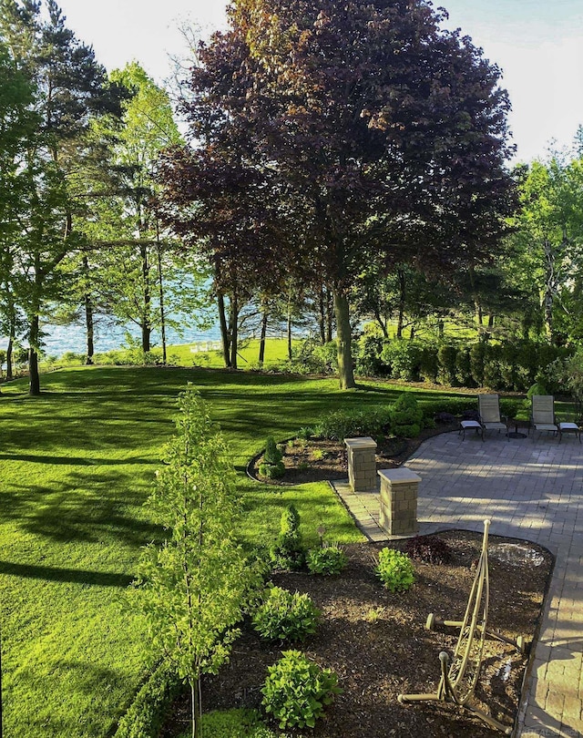 surrounding community featuring a patio and a yard