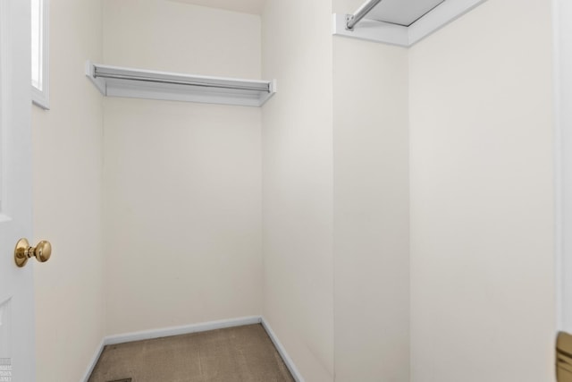 spacious closet with carpet flooring