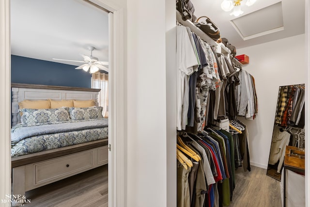 spacious closet with attic access, a ceiling fan, and wood finished floors