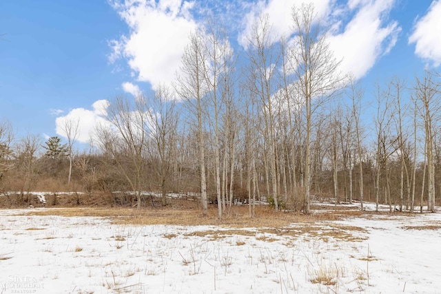 view of snow covered land