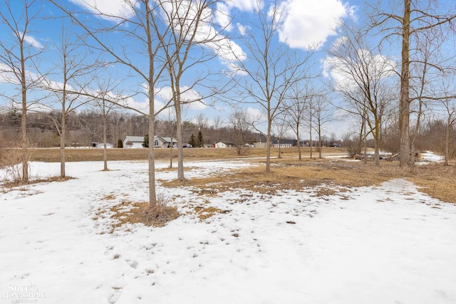 view of snowy yard