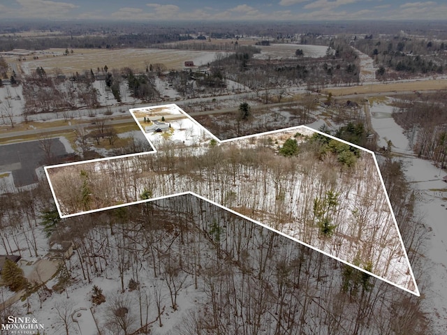 drone / aerial view with a rural view