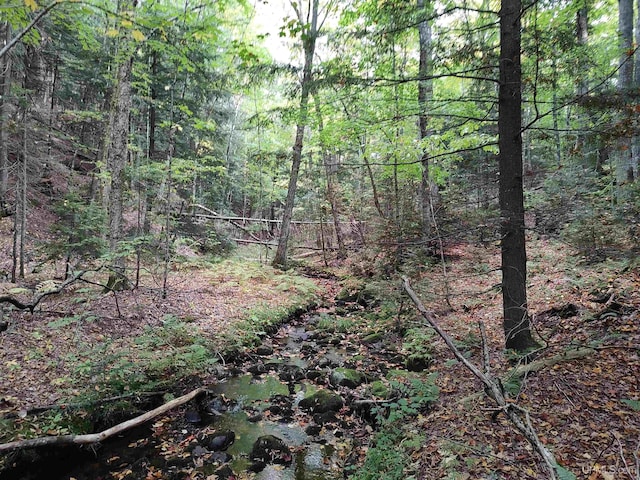 160ACRES Lost Creek Rd, Marquette MI, 49855 land for sale