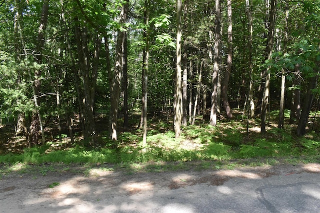 LOT196 Princess Way, Gladwin MI, 48624 land for sale