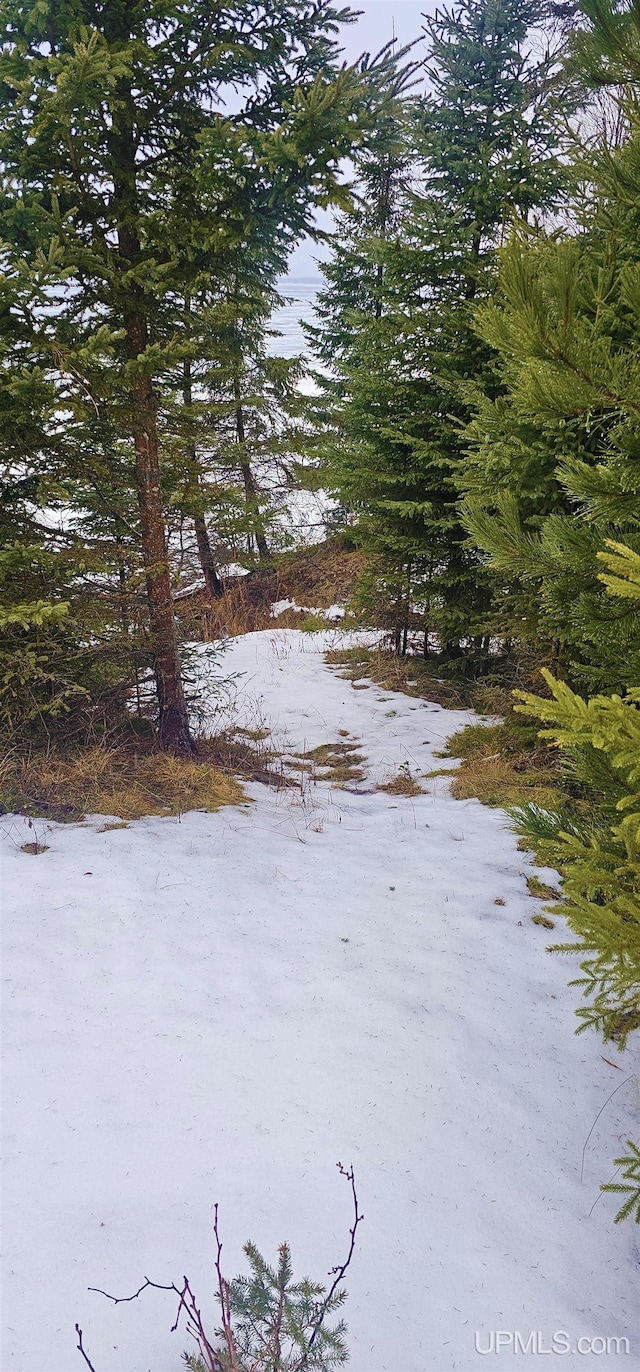 view of snowy yard