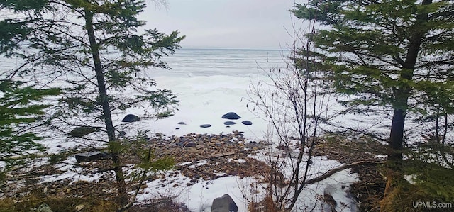 view of water feature