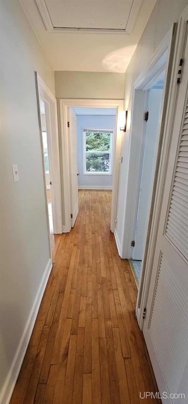 hall featuring attic access, baseboards, and hardwood / wood-style flooring