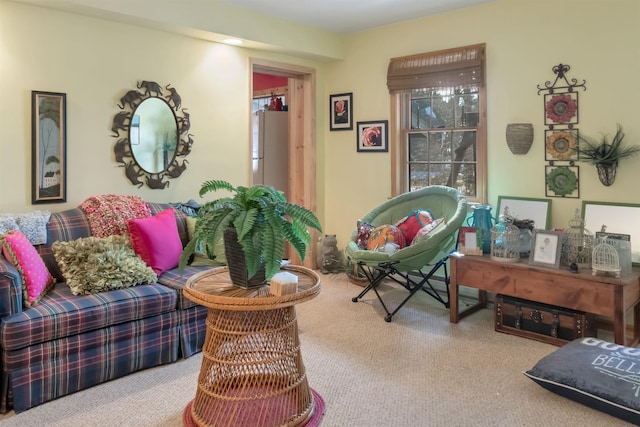 living room featuring carpet floors