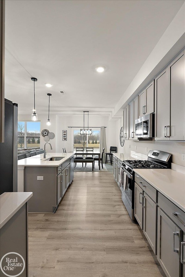 kitchen featuring light wood finished floors, appliances with stainless steel finishes, a kitchen island with sink, gray cabinets, and a sink