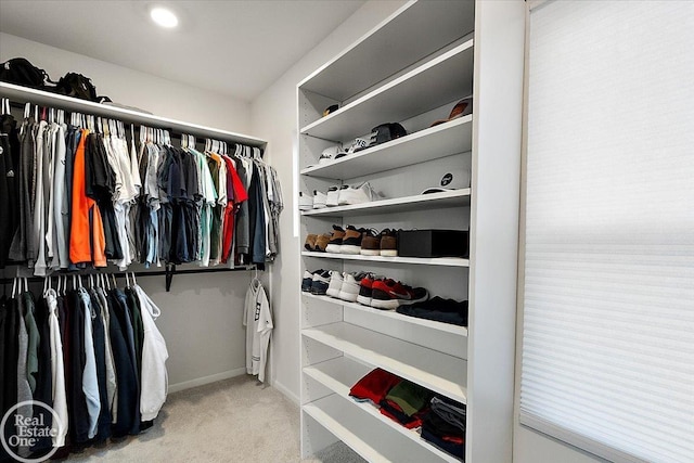 walk in closet with carpet