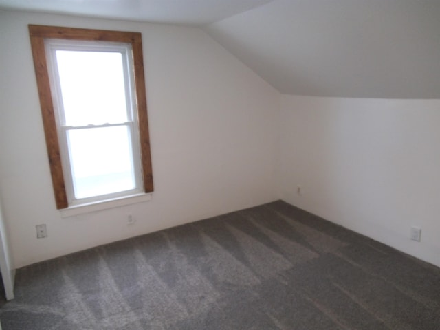 additional living space with lofted ceiling and carpet