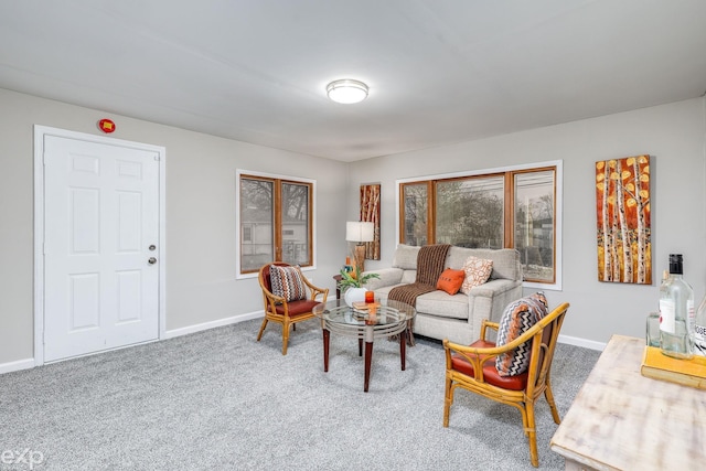 living room featuring carpet floors and baseboards