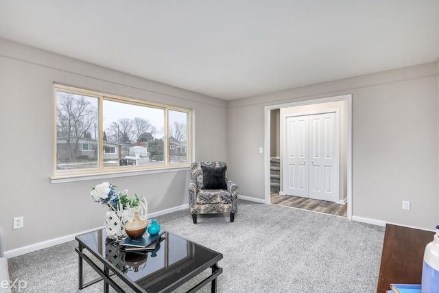 living area with carpet floors and baseboards