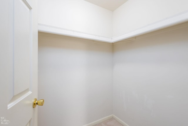 walk in closet featuring light colored carpet