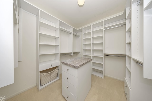 spacious closet with light colored carpet