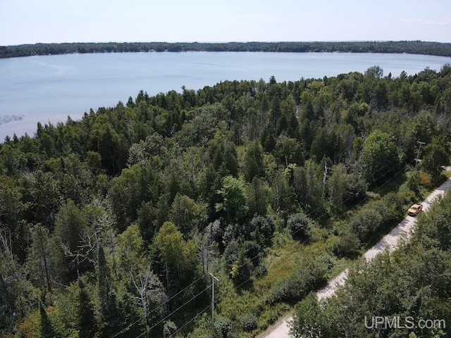 TBD W N Gulliver Lake Rd, Gulliver MI, 49840 land for sale