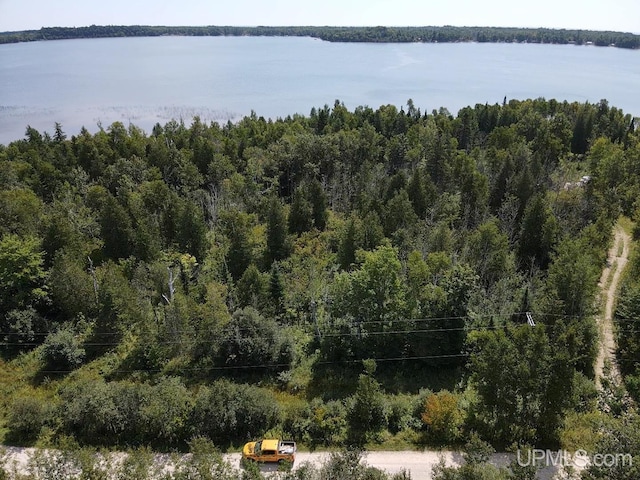 Listing photo 2 for TBD W N Gulliver Lake Rd, Gulliver MI 49840