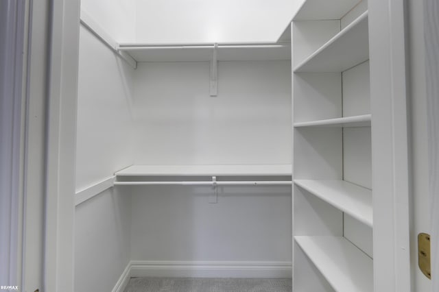 view of walk in closet