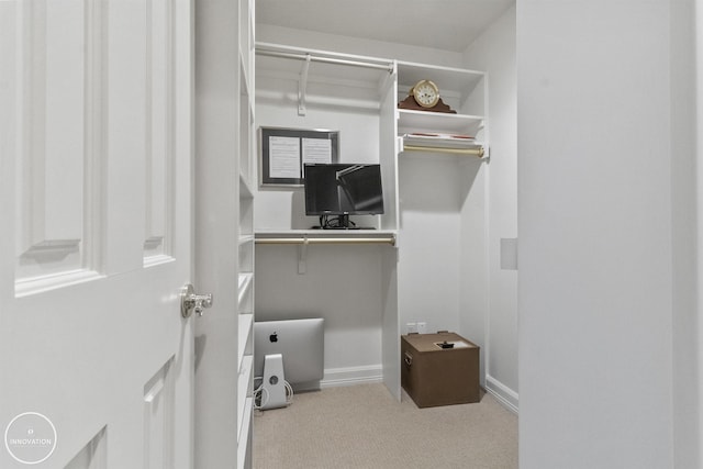 spacious closet with carpet