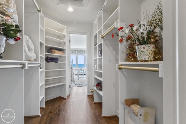 walk in closet featuring dark wood-style floors