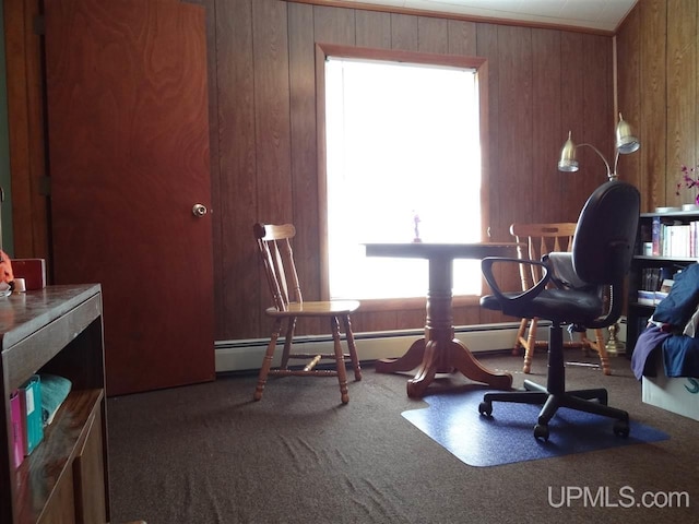 interior space with wood walls, a baseboard radiator, and carpet flooring