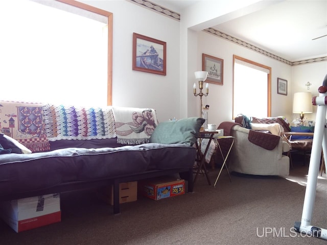 view of carpeted living room