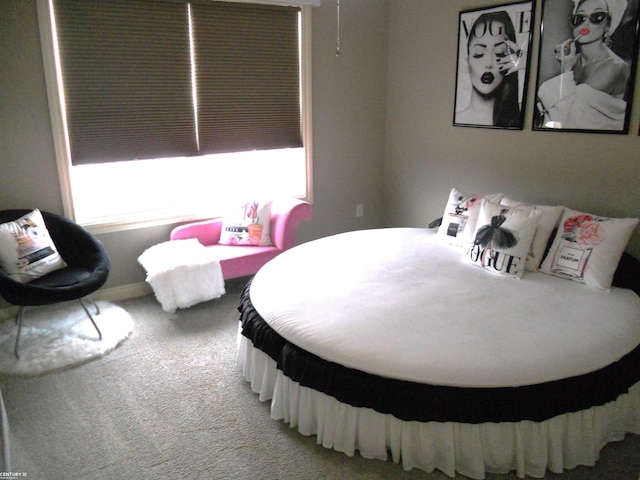 bedroom featuring light carpet and multiple windows