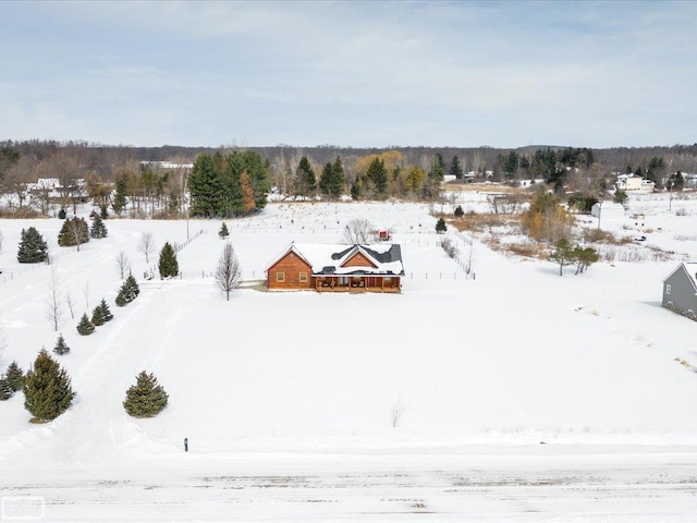 view of snowy yard