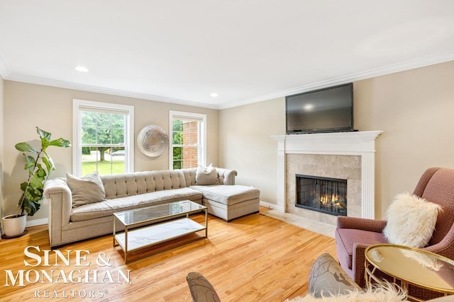 living area featuring a fireplace, crown molding, and wood finished floors