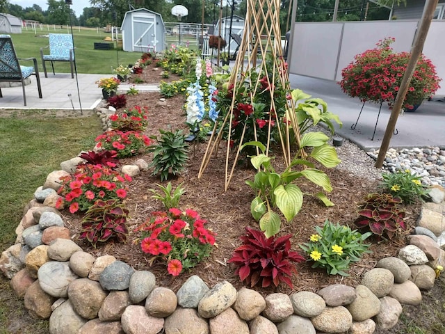 view of yard with a vegetable garden, fence, an outdoor structure, and a patio