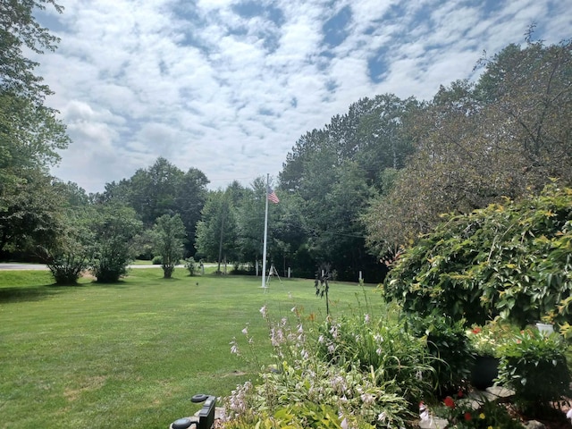 view of yard with a forest view