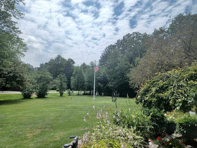 view of yard featuring a view of trees