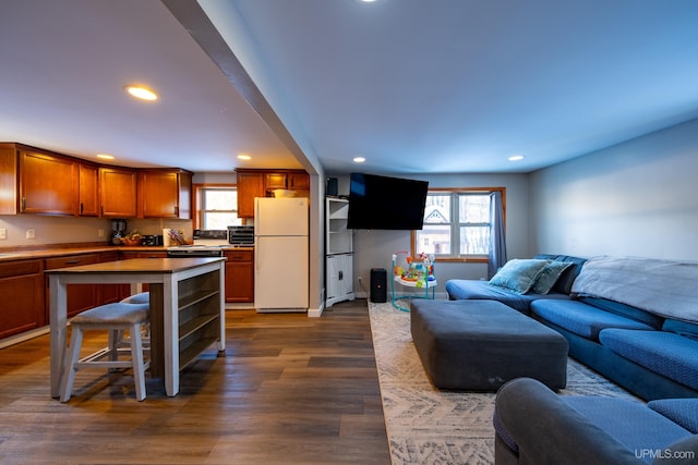 living area with recessed lighting, dark wood-style flooring, and a healthy amount of sunlight